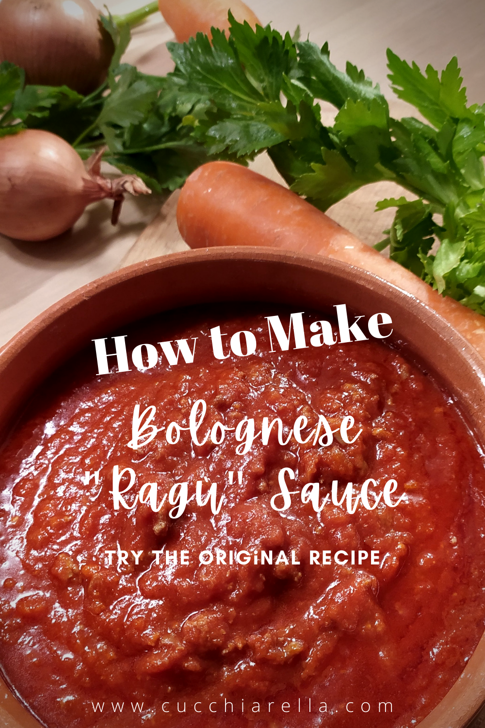 bolognese sauce pin