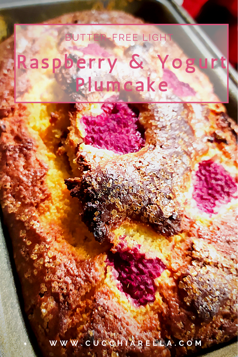 plumcake close up
