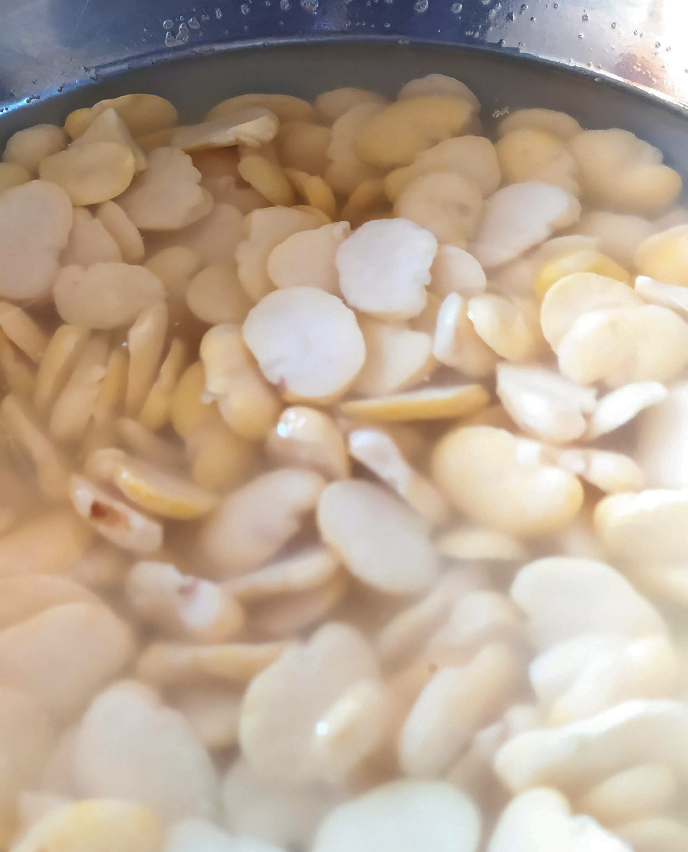 soaked white fava beans