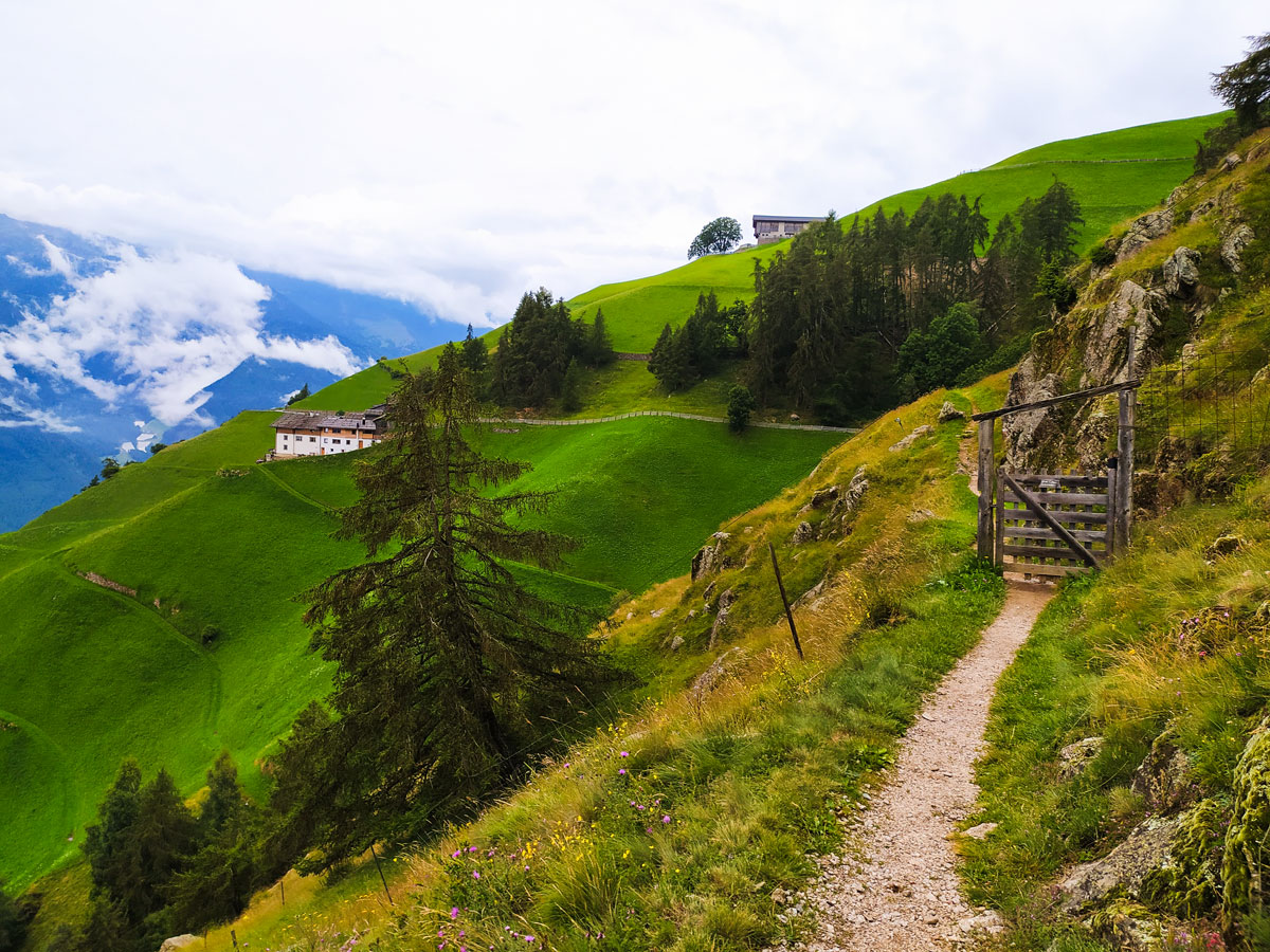 trekking walkway around the farm on the mountain