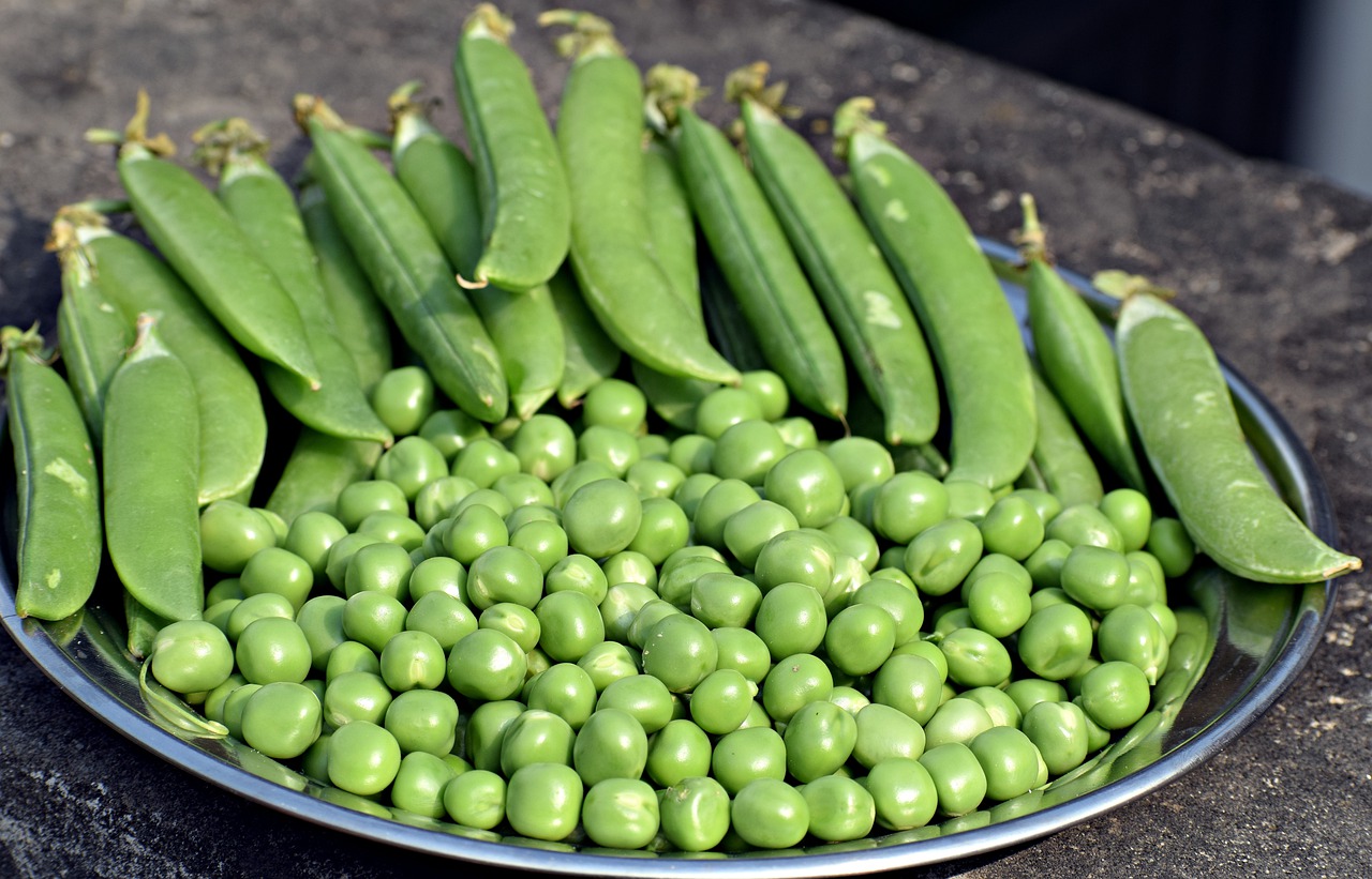 fresh peas dish