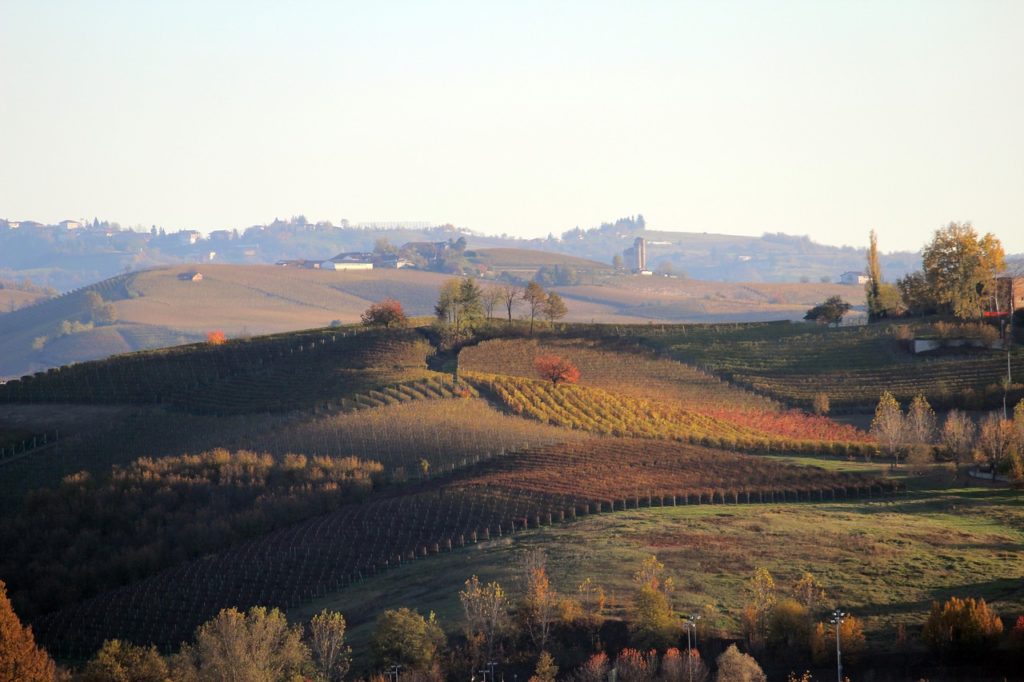 Langhe Hills Barolo 20 italian red wines