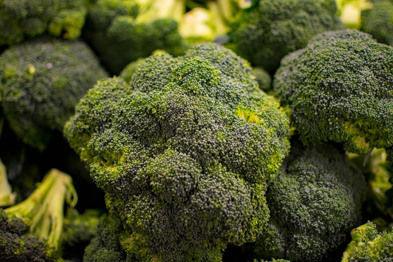 Sicilian broccoli